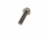 Комплект ГРМ (ремінь + ролик) AUDI 80 B3, 80 B4 FORD GALAXY I SEAT CORDOBA, IBIZA II, INCA, TOLEDO I VW CALIFORNIA T4 CAMPER, GOLF III, PASSAT B3/B4, POLO, POLO II 1.3/1.9D 07.87-06.03 BOSCH 1987946325 (фото 10)
