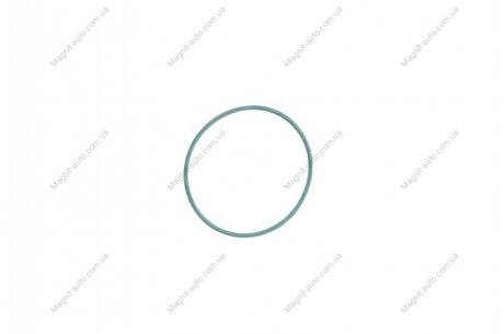 Уплотнительное кольцо ELRING 790000 (фото 1)