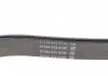 Поликлиновой ремень DAYCO 6PK1610HD (фото 3)