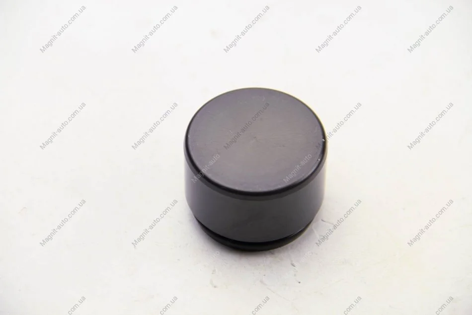Элементы тормозного суппорта AUTOFREN D025625 (фото 1)
