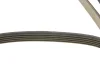 Ремень П-клиновый Dayco DAYCO 5PK1515 (фото 3)