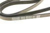 Ремень П-клиновый Dayco DAYCO 5PK1515 (фото 5)