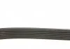 Ремень генератора Jeep Cherokee 2.5/2.8 CRD 01-08 DAYCO 6PK2870 (фото 2)