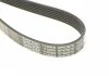 Ремень генератора Jeep Cherokee 2.5/2.8 CRD 01-08 DAYCO 6PK2870 (фото 3)