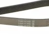 Ремень генератора Jeep Cherokee 2.5/2.8 CRD 01-08 DAYCO 6PK2870 (фото 4)