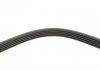 Ремень поликлин. Daewoo Espero (произ-во) Gates 5PK1250 (фото 3)