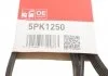 Ремень поликлин. Daewoo Espero (произ-во) Gates 5PK1250 (фото 5)