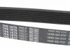Поликлиновой ремень DAYCO 7PK1675 (фото 3)