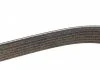 Ремень П-клиновый Dayco DAYCO 6PK2150S (фото 4)