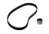 Комплект ГРМ (ремень+ролик) AUDI A3 SEAT IBIZA III, LEON, TOLEDO II SKODA FABIA I, OCTAVIA I SUZUKI BALENO, CARRY, JIMNY, SWIFT II, WAGON R+ VW BORA I, POLO IV 1.0/1.3/1.9D 07.95- INA 530032210 (фото 1)