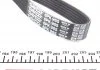 Ремень поликлиновый DAYCO 6PK965 (фото 3)