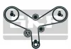 Ремкомплект ГРМ CITROEN/RANGEROVER/PEUGEOT 2.7-3.0HDI/TDV6 "08>> SKF VKMA03261 (фото 2)