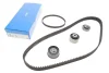 Комплект (ремінь+ролики) SKF VKMA95666