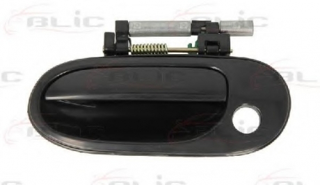 Ручка двери BLIC 601016026401P