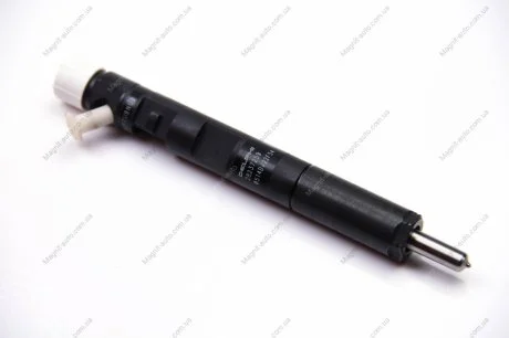 Распылитель RENAULT 166000897R