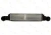 Интеркуллер BMW 3 (E46), X3 (E83) 2.0-3.0D 10.99-08.10 THERMOTEC DAB002TT (фото 1)