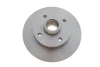 Диск тормозной SEAT/VW Toledo/Corrado/Golf/Jetta/Passat "R D=226mm "89-02 Delphi BG2389 (фото 1)