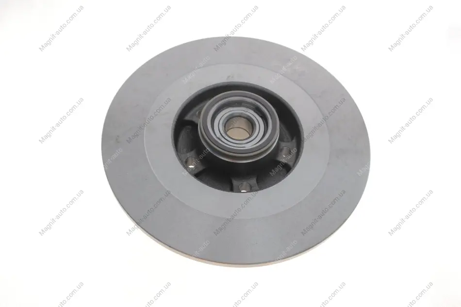 Комплект тормозных дисков SKF VKBD1019 (фото 1)