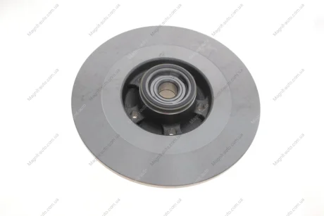 Комплект тормозных дисков SKF VKBD1019