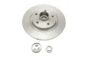Диск тормозной (комплект) SKF VKBD1018 (фото 1)