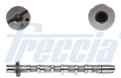 Розподільний вал, VW Passat B5.5 FRECCIA CM052189