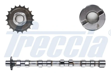 Кулачковий вал FRECCIA CM052176