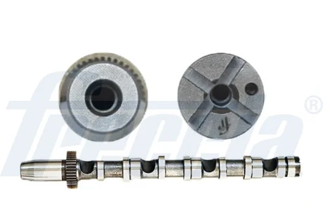 Розподільний вал, VW Passat B5.5 FRECCIA CM052190