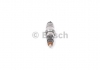 Форсунка BOSCH 0445120231 (фото 3)