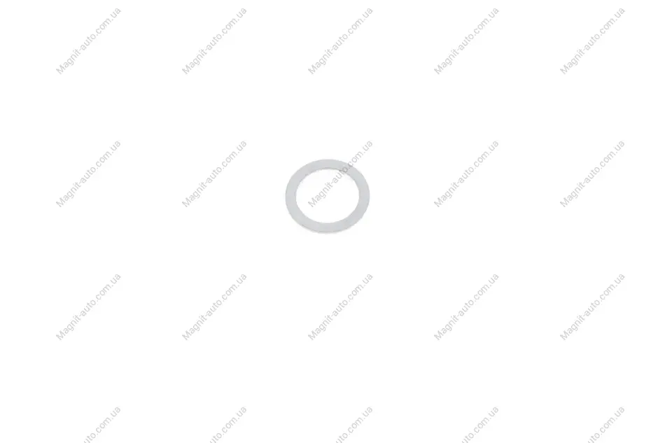 Кільце ущільнююче (N0138132) VAG N 013 813 2 (фото 1)