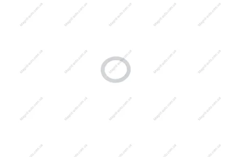 Кільце ущільнююче (N0138132) VAG N 013 813 2