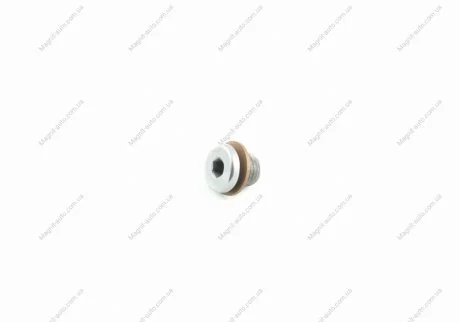 Пробка різьбова з кільцем ущільнювача. VW/Audi/Skoda/Seat (N90965401) VAG N 90965401