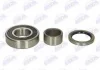 Комплект подшипника колеса лев/прав (32x72x19) NISSAN BLUEBIRD, LAUREL, SILVIA, SUNNY, VANETTE 1.2-2.8D 01.70-12.95 BTA H21002BTA (фото 1)