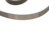 Комплект ремня генератора SKF VKMA33222 (фото 6)