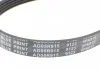 Ремень генератора поликлиновый BLUE PRINT AD05R915 (фото 4)