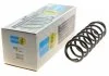 Пружина ходової частини BILSTEIN 36300075 (фото 1)