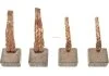 Щетки стартера (12,9x7x11mm/12 V) STANDARD LINE AS SB3005 (фото 1)