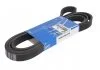Поликлиновой ремень SKF VKMV6PK2545