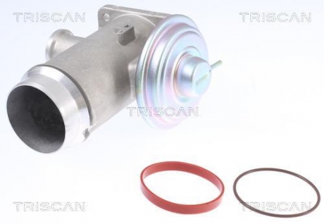 Клапан рецеркуляції відпрацьованих газів TRISCAN 881311102 (фото 1)