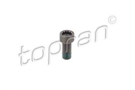 Гвинт з циліндричною голівкою М10*1*22.30 TOPRAN / HANS PRIES 117243