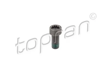 Гвинт з циліндричною голівкою М10*1*22.30 TOPRAN / HANS PRIES 117243