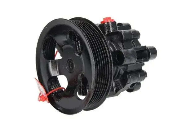 Pompa hydrauliczna przekładni kierowniczej TOYOTA AVENSIS VERSO, RAV 4 II 2.0 06.00-11.09 LAUBER 556095 (фото 1)