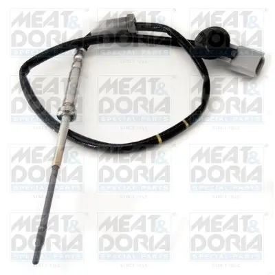 Exhaust fumes temperature sensor MEAT & DORIA MEAT&DORIA 12193 (фото 1)