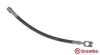 Тормозной шланг зад. Audi A4 97-09 (M10x1, L=280mm) BREMBO T85116 (фото 1)