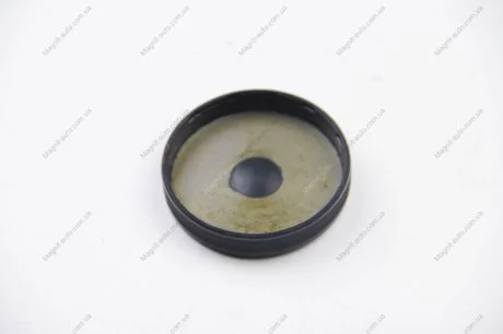 Заглушка ГБЦ Renault Logan (04-), Clio, Megane, Kangoo (97-), Trafic (01-), Sandero (08-), Duster (10-) 1.4i/1.6i ASAM 32976