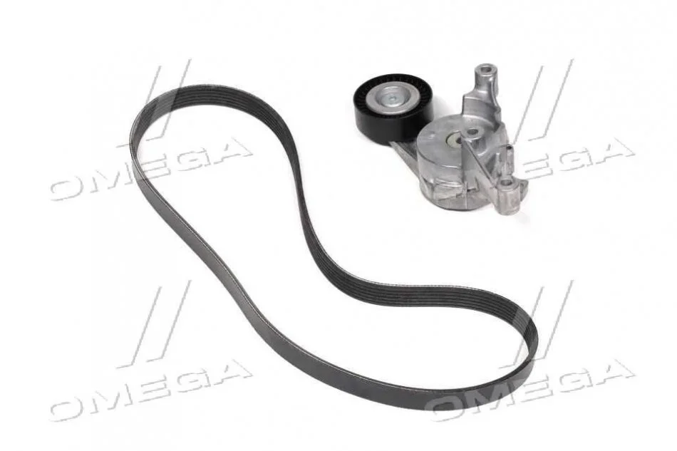 Роликовый модуль натяжителя ремня (ролик, ремень) SKF VKMA31054 (фото 1)