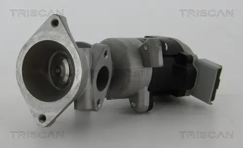Клапан рецеркуляції відпрацьованих газів TRISCAN 881317020 (фото 1)