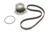 Ремкомплект ГРМ + помпа SEAT IBIZA 2"93-96" SKF VKMC 01103 (фото 1)