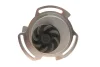 Ремкомплект ГРМ + помпа SEAT IBIZA 2"93-96" SKF VKMC 01103 (фото 5)