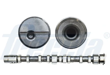 Розподільний вал, FORD C-Max, Fiesta IV, Focus II, Mondeo IV, S-Max, Tourneo, Transit; 1.8, 02-15 FRECCIA CM05-2197