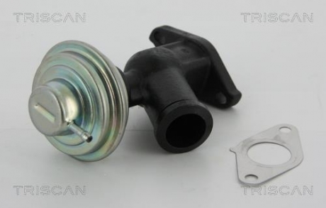 Клапан рецеркуляції відпрацьованих газів TRISCAN 881310011 (фото 1)